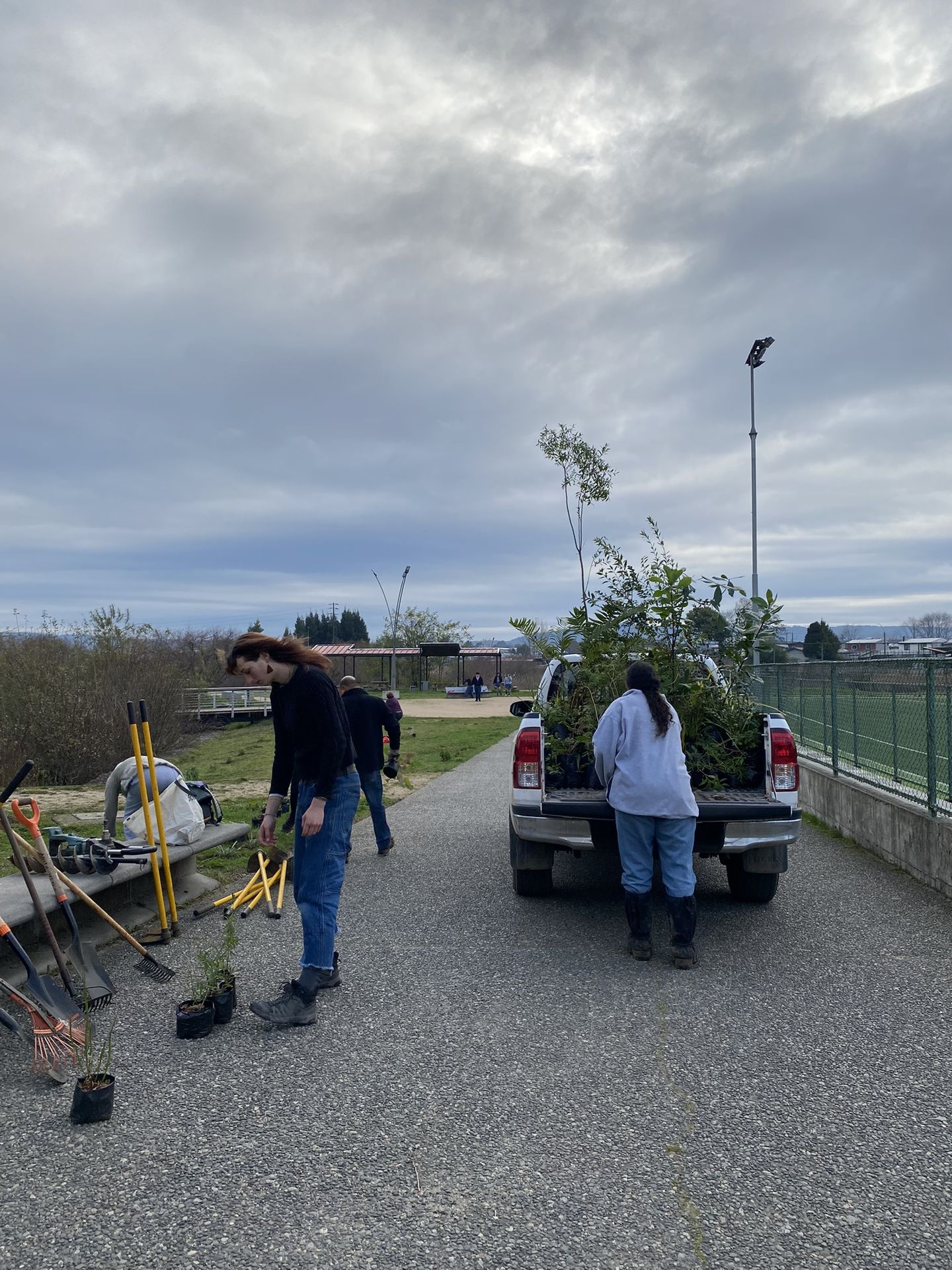 Parque Catrico Inicia Semana de Restauración Ecológica