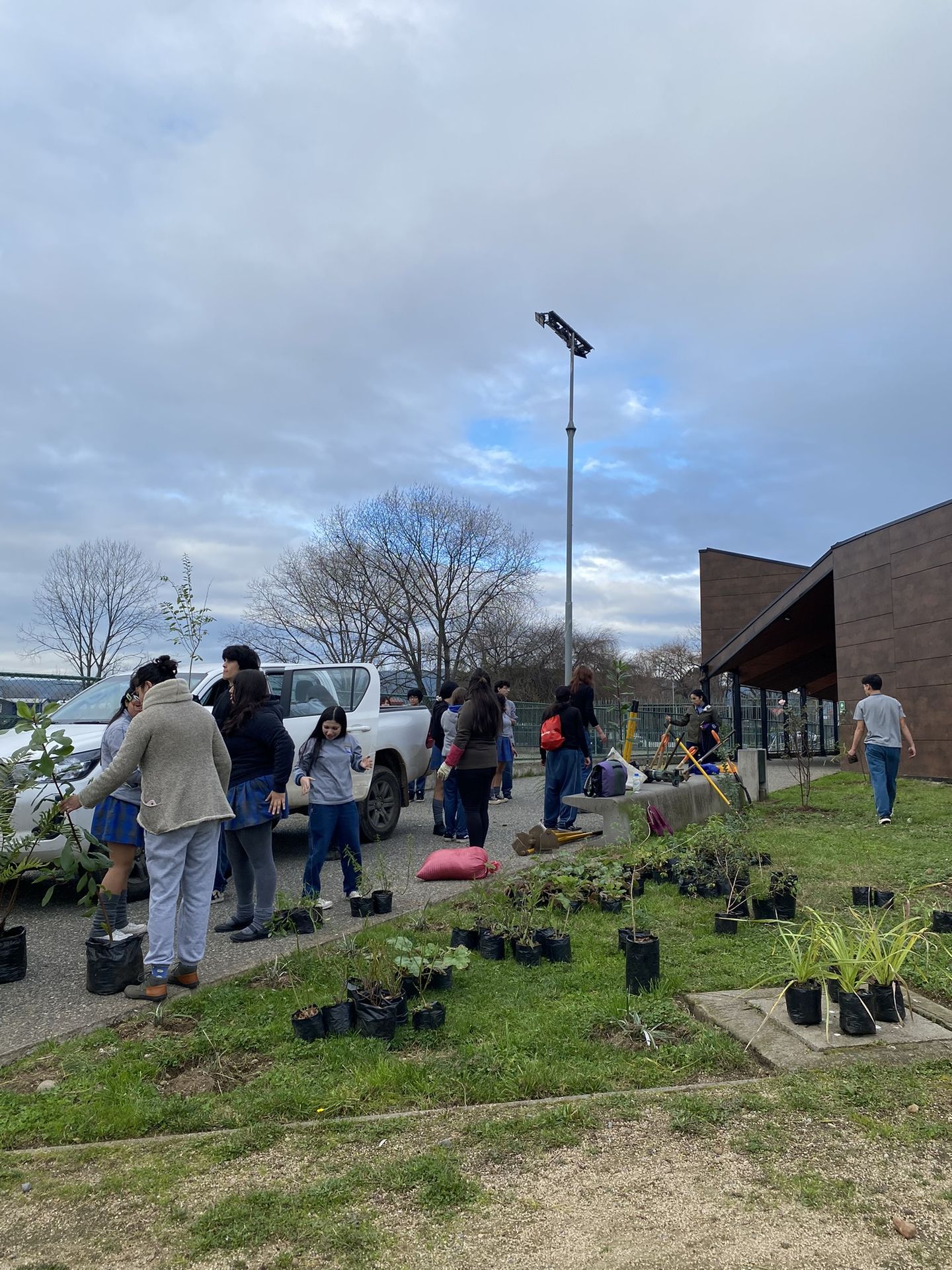Parque Catrico Inicia Semana de Restauración Ecológica