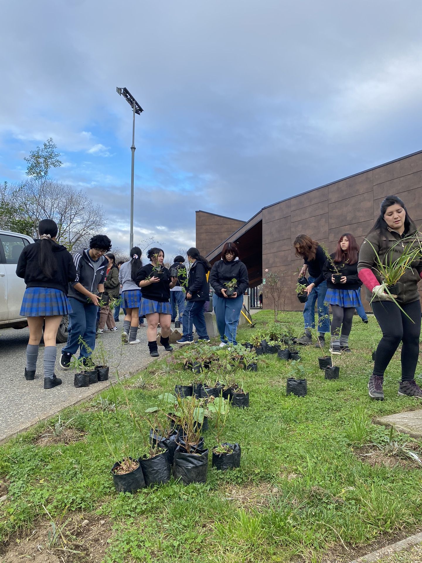 Parque Catrico Inicia Semana de Restauración Ecológica