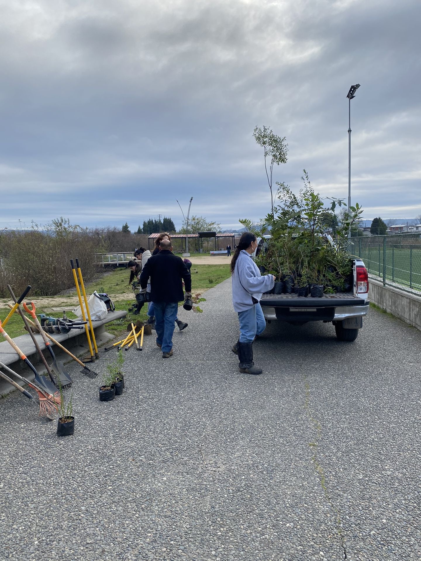 Parque Catrico Inicia Semana de Restauración Ecológica