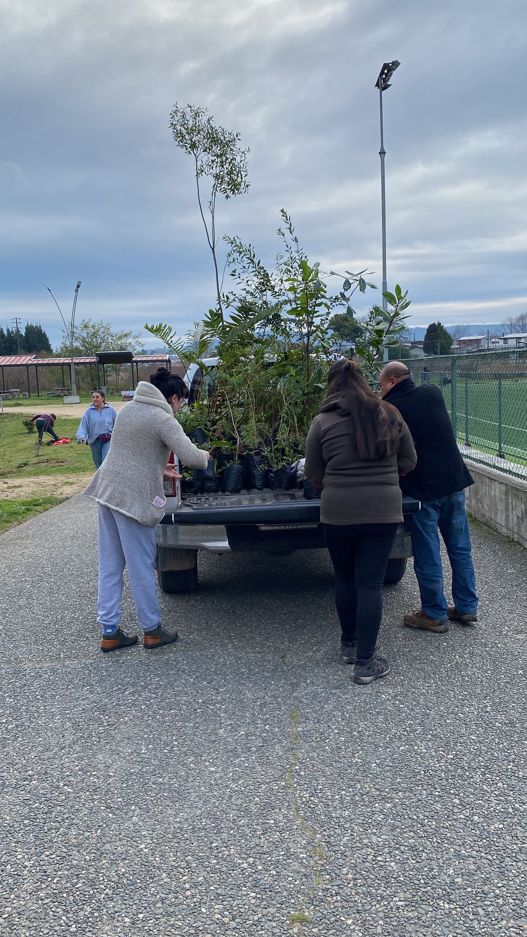 Parque Catrico Inicia Semana de Restauración Ecológica