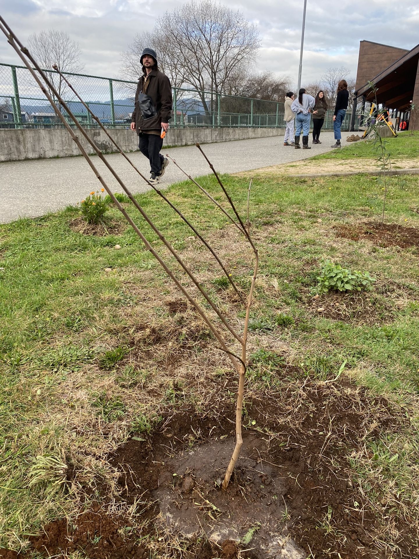 Parque Catrico Inicia Semana de Restauración Ecológica