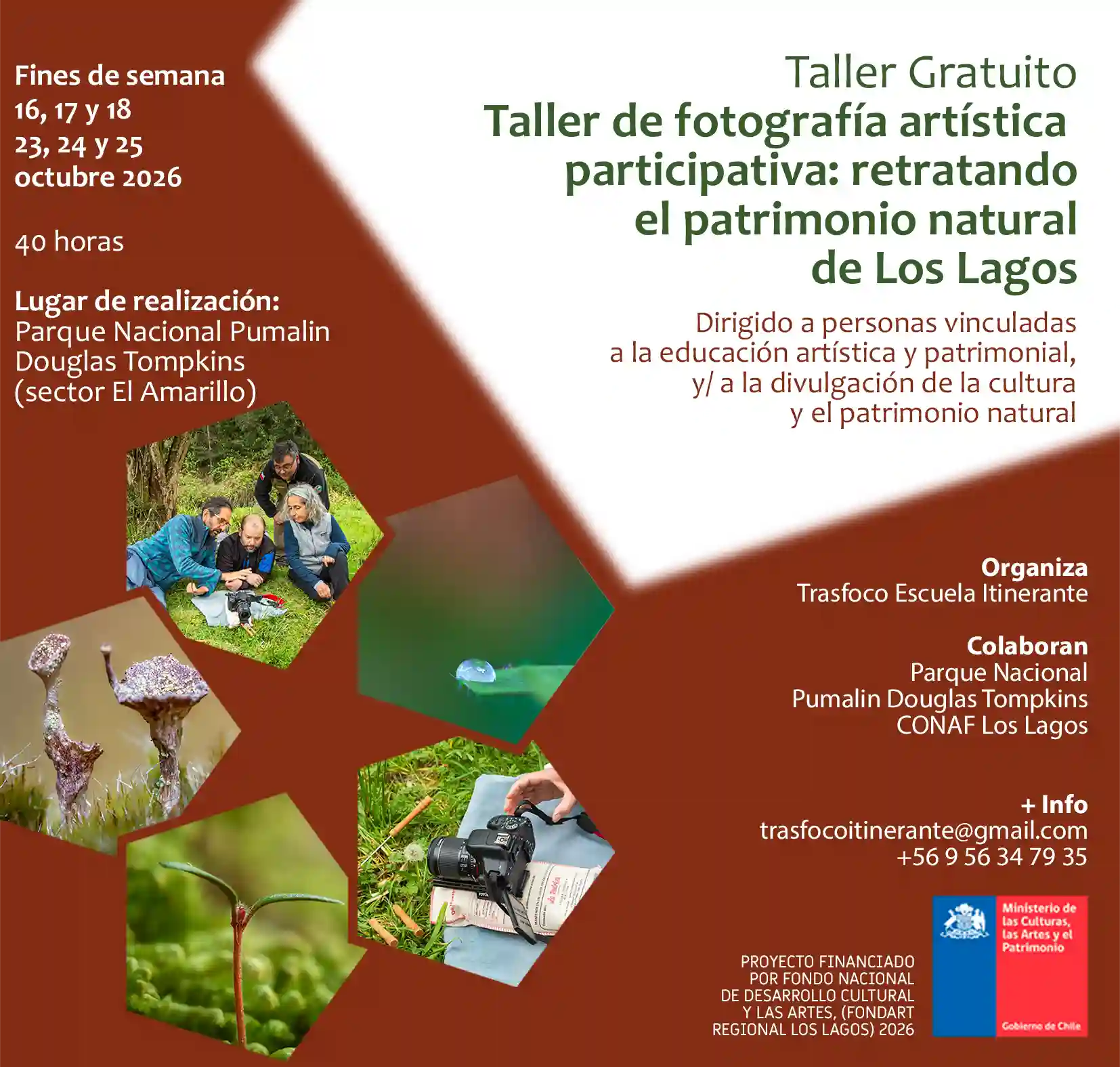 taller de fotografía Pumalín