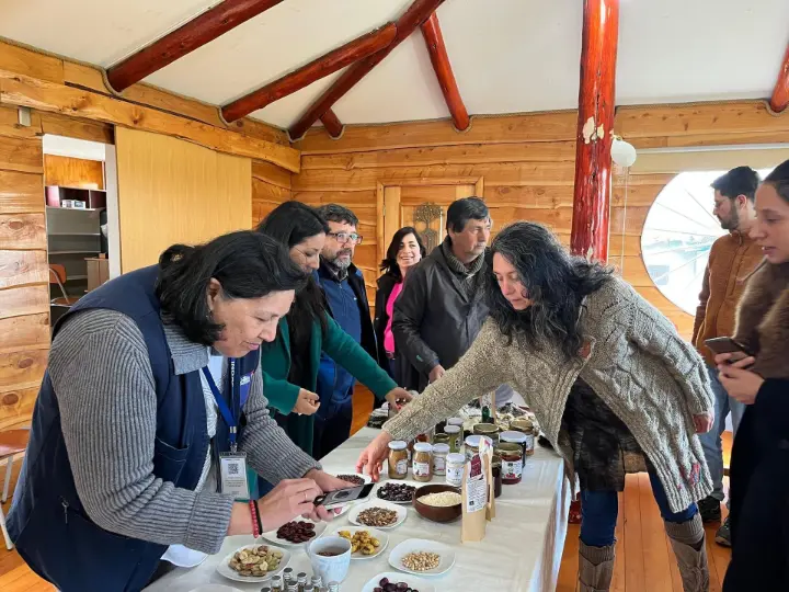 Quinoa Chilota: Cooperativa impulsa nueva etapa productiva en Ancud