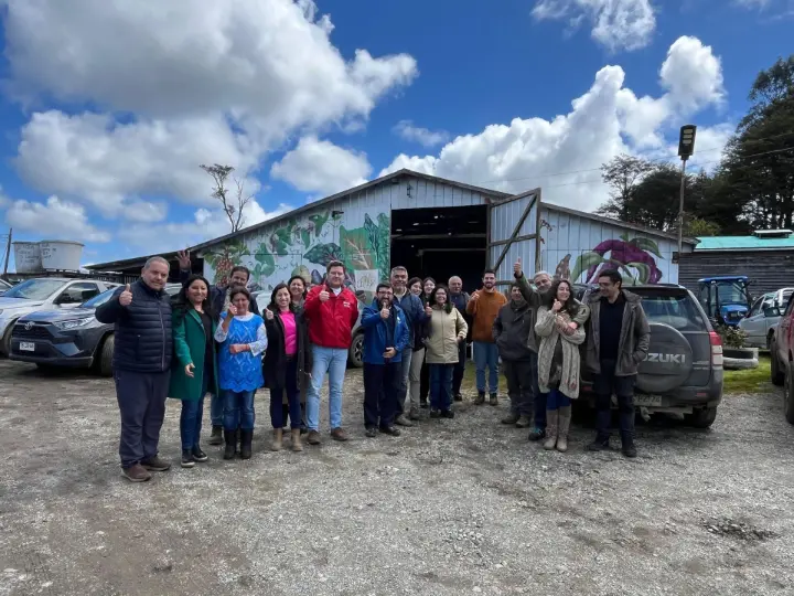 Quinoa Chilota: Cooperativa impulsa nueva etapa productiva en Ancud