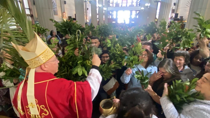 Semana Santa en Puerto Montt comenzó con la liturgia del Domingo de Ramos en la Catedral, presidida por el arzobispo Fernando Ramos Pérez.